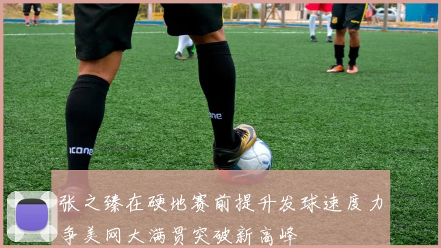 张之臻在硬地赛前提升发球速度力争美网大满贯突破新高峰