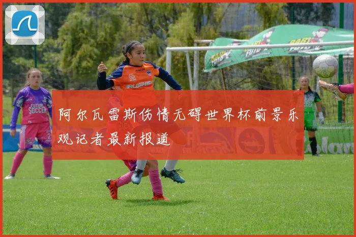 阿尔瓦雷斯伤情无碍世界杯前景乐观记者最新报道